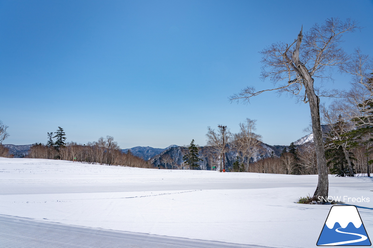 札幌国際スキー場｜ゴールデンウイーク初日も全コース滑走可能OK！！真っ白な雪と澄んだ青空 ＝ 絶好の春スキー＆スノーボード日和♪そして、日本海の彼方に、なんと利尻富士が見えた？！